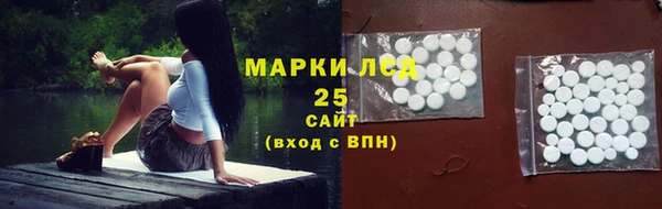 PSILOCYBIN Аркадак