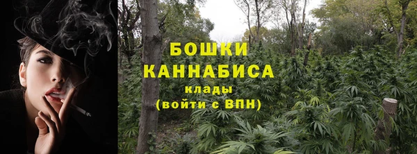PSILOCYBIN Аркадак