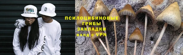 спиды Арсеньев