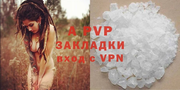 PSILOCYBIN Аркадак